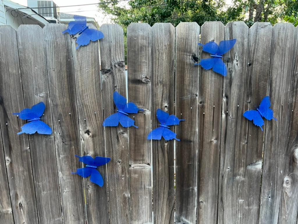 Garden Butterflies